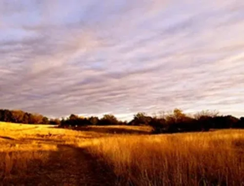 Living Lands Trust